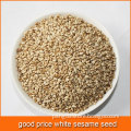 good price white sesame seed